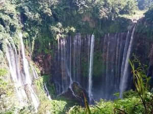 Coban Sewu yang Bagai Tirai Raksasa