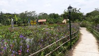 Jarak destinasi ini sekitar 8 KM dari pusat Kota Yogyakarta. Tinggal menuju ke arah Jalan Magelang. Sesampainya di sini, traveler akan disambut pemandangan asri (Pradito/detikTravel)  