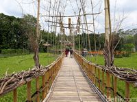 Ada jembatan bambu cantik di tengah sawah Pradito detikTravel