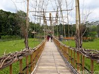 Ada jembatan bambu cantik di tengah sawah (Pradito/detikTravel)