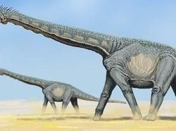 10 Dinosaurus Terbesar yang Pernah Hidup di Muka Bumi