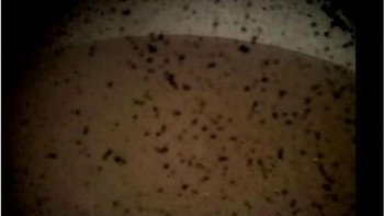 Kalau ini foto perdana yang dikirimkan ke NASA begitu InSight mendarat dengan selamat di permukaan Mars. Foto: Twitter