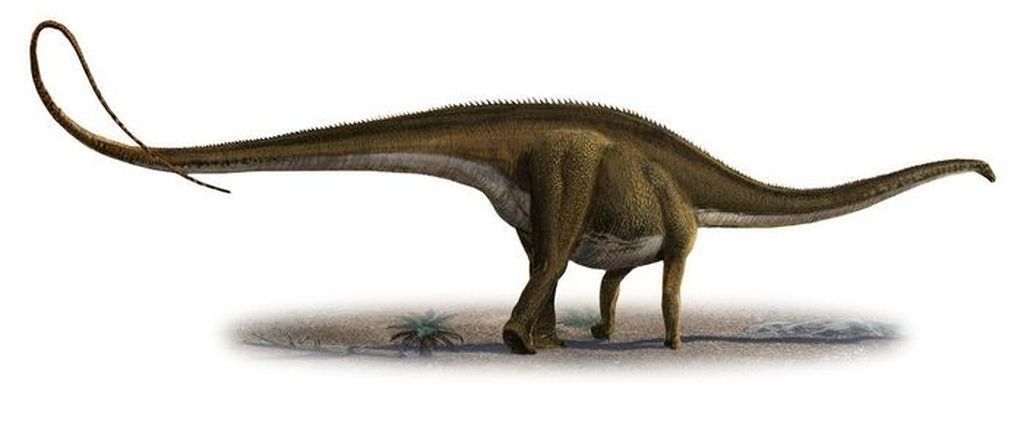 10 Dinosaurus Terbesar yang  Pernah Hidup di Muka Bumi