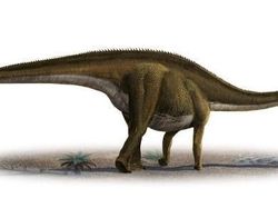 10 Dinosaurus Terbesar yang Pernah Hidup di Muka Bumi