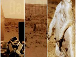 Meme Kocak Robot NASA Mendarat di Mars Didemo Alien