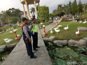 Terpeleset, Pelajar SMP Tewas Tenggelam di Taman Angsa