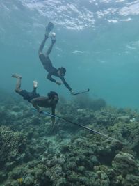 (Wakatobi Dive Trip)