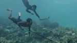 Foto: Wakatobi yang Bikin Kamu Ingin Liburan ke Sana