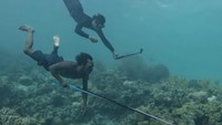 Belajar spearfishing bersama Pak Lauda di Pulau Hoga (Wakatobi Dive Trip)
