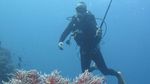 Foto: Wakatobi yang Bikin Kamu Ingin Liburan ke Sana