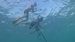 Foto: Wakatobi yang Bikin Kamu Ingin Liburan ke Sana