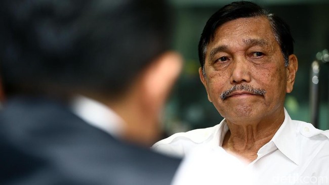 Luhut Buka-bukaan Soal Pemilik Lahan Ratusan Ribu Hektar