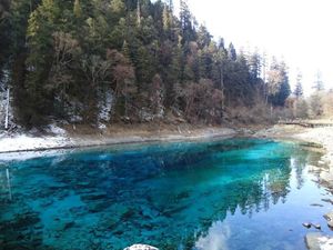 Danau 5 Warna, Keajaiban Alam Lembah Jiuzhaigou