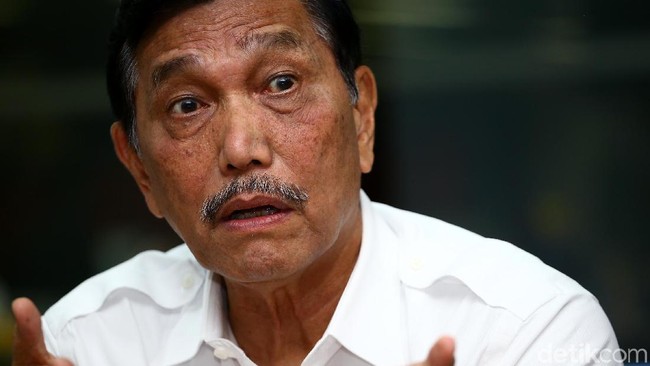Luhut Buka-bukaan Soal Pemilik Lahan Ratusan Ribu Hektar