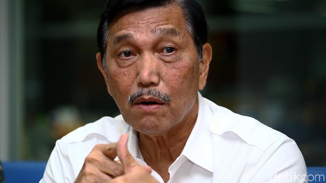 Luhut Buka-bukaan Soal Pemilik Lahan Ratusan Ribu Hektar