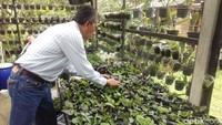  Rizal Diaafarer, sang pemilik merintis usaha ini di tahun 1979 saat dia masih kuliah. Semula konsepnya sebagai kebun produksi, tapi sekarang sudah berubah jadi kebun edukasi serta rekreasi. (Rachmadi/detikTravel)