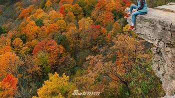 Karya Tyler Stalman. Foto: Apple