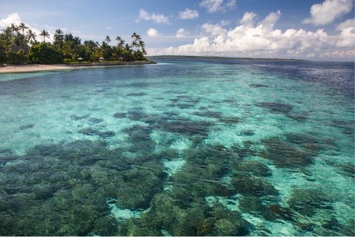 Khusus Anak Muda Energik, Ada Liburan Gratis ke Wakatobi