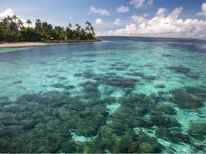 Khusus Anak Muda Energik, Ada Liburan Gratis ke Wakatobi