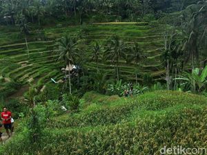 Mengungkap Sejarah Subak Bali