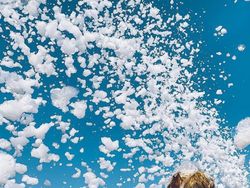 Deretan Hasil Jepretan iPhone XR