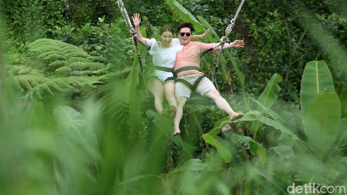 Wahana ayunan (Swing) di Subak Tegalalang, Bali, menjadi salah satu favorit wisatawan mancanegara. Begini keseruannya.