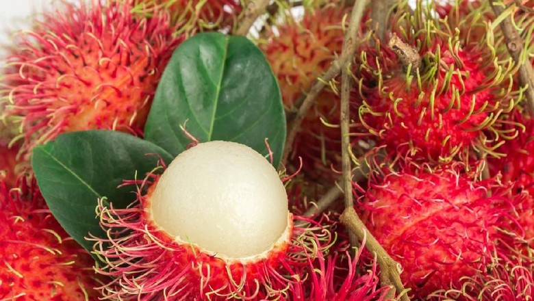 Terjatuh Dari Pohon Rambutan Bocah 6 Tahun Tewas