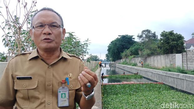 Pemkot Jakarta Utara Mulai Tanam Eceng Gondok di Kali Penghubung