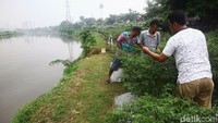 Lokasi lahan yang dekat dengan sungai memudahkan warga dalam melakukan perawatan tanaman cabai.