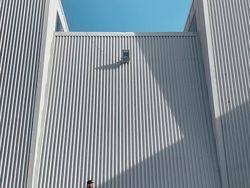 Deretan Hasil Jepretan iPhone XR