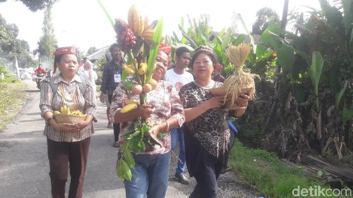 Mengenal Festival Mosintuvu, Pesta Hasil Bumi Rakyat Poso
