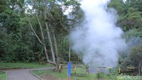 Alam yang masih hijau dan udara yang masih sejuk akan tersuguhkan saat traveler memasuki kawasan Kawah Kamojang (Wisma Putra/detikTravel)