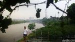Bertani di Jakarta, Lahan Tidur Disulap Jadi Kebun Cabai