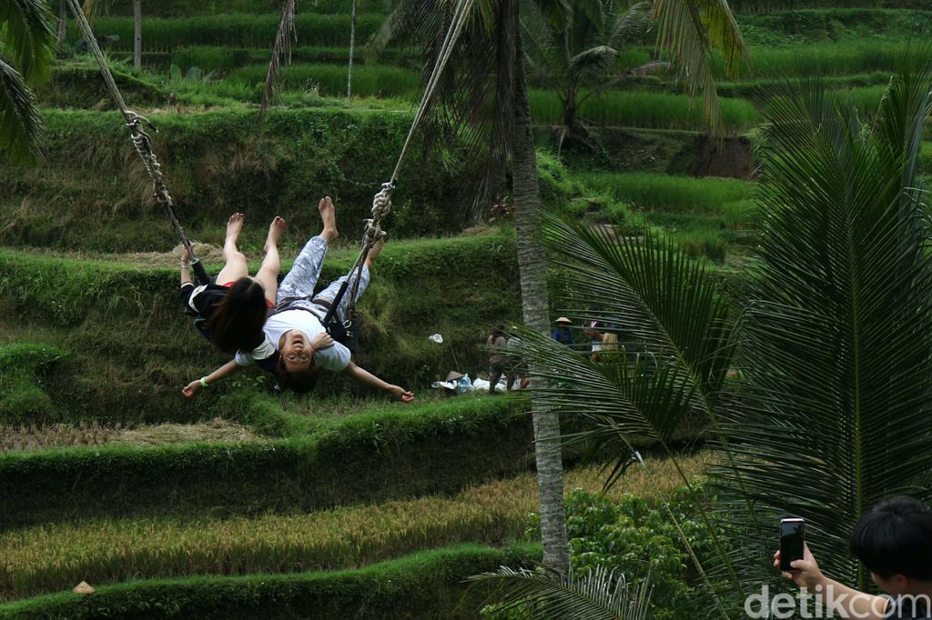 Wahana ayunan (Swing) di Subak Tegalalang, Bali, menjadi salah satu favorit wisatawan mancanegara. Begini keseruannya.