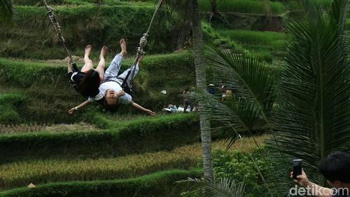 Wahana ayunan (Swing) di Subak Tegalalang, Bali, menjadi salah satu favorit wisatawan mancanegara. Begini keseruannya.