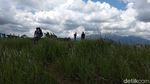 Foto: Padang Ilalang yang Viral Ini Diserbu Turis
