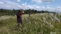 Baik sekadar selfie, maupun pre wedding pun ada lho. Ini karena pemandangannya yang indah dengan ilalang cantik di sekelilingnya (Eko/detikTravel)