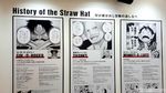 Foto: Surga Pecinta One Piece