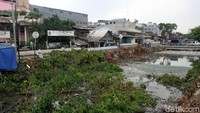 Dedunan dan batang pohon yang hanyut di kali sebelah Stasiun Duri merupakan imbas dari pemasangan turap di kali tersebut.