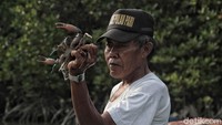 Kepiting itu dilepasliarkan ke habitat aslinya.