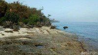 Pantai Plengkung menghadap Samudera Hindia, di timur Teluk Grajagan. Jaraknya 55 kilometer dari pusat Kota Banyuwangi, dan jadi salah satu destinasi tersembunyi yang masih terjaga keutuhannya. (Ardian Fanani/detikTravel)