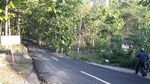 Foto: Tempat Romantis di Gunungkidul untuk Nikmati Senja