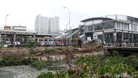 Selain sampah plastik, batang phon dan dedaunan turut menggenang di kali sebelah Stasiun Duri.