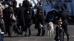 Ini Sully, Hachiko di Dunia Nyata Milik Mendiang Bush Senior