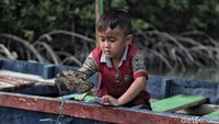 Seorang anak ikut dalam pelepasan seribuan kepiting tersebut.