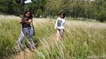 Foto: Padang Ilalang yang Viral Ini Diserbu Turis