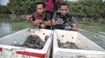Pelepasan Ribuan Kepiting di Pulau Pari