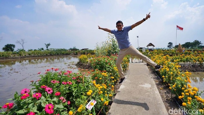 Ciaat, Ini Gaya Sandiaga Berpose di Desa Wisata Agro Lamongan