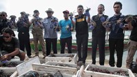 Petugas menunjukkan seribuan kepiting yang berhasil diamankan di Pulau Pari.