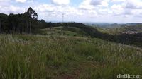 88 Gambar Pemandangan Rumput Ilalang Paling Hist 88 Gambar Pemandangan Rumput Ilalang Paling Hist